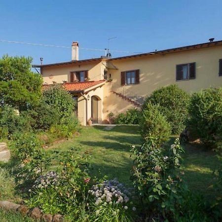 Villa Porcigliano Olive Grove Polcanto Exteriér fotografie