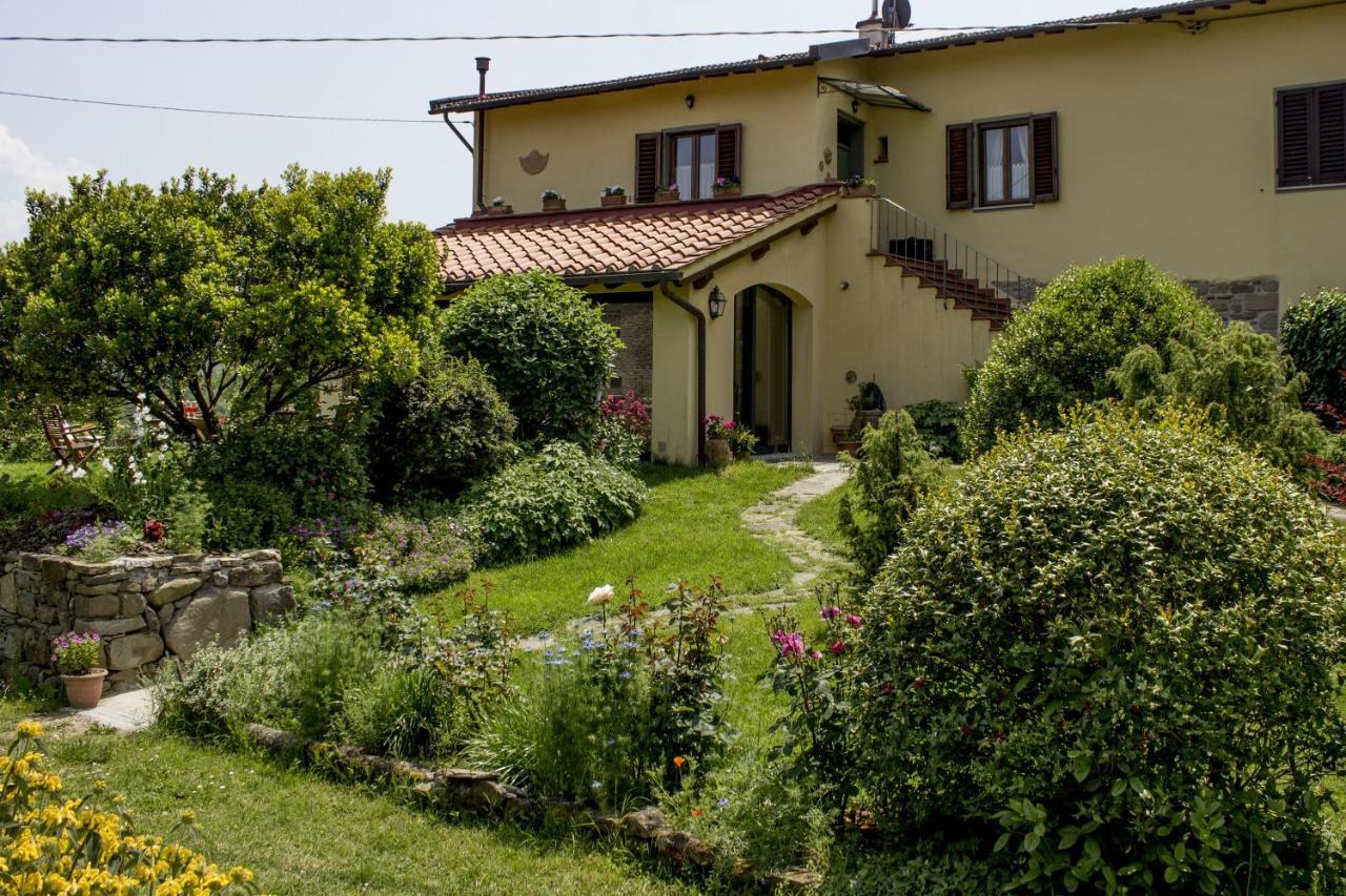 Villa Porcigliano Olive Grove Polcanto Exteriér fotografie