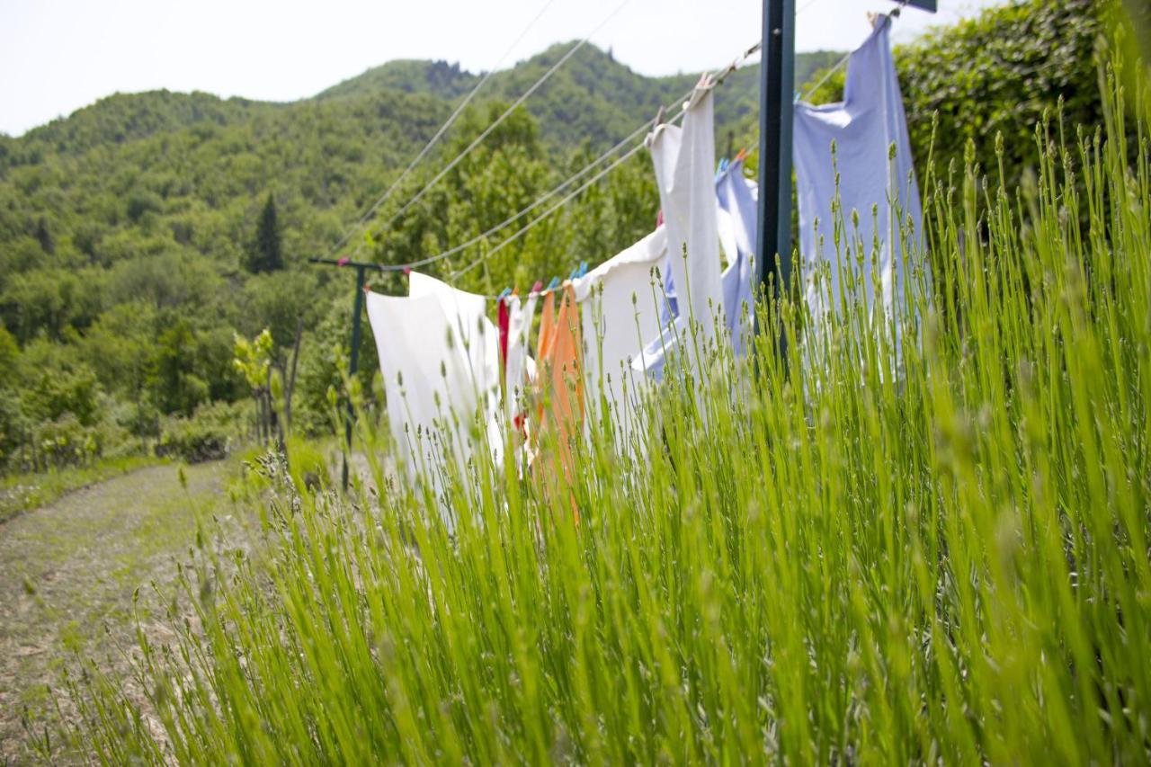Villa Porcigliano Olive Grove Polcanto Exteriér fotografie
