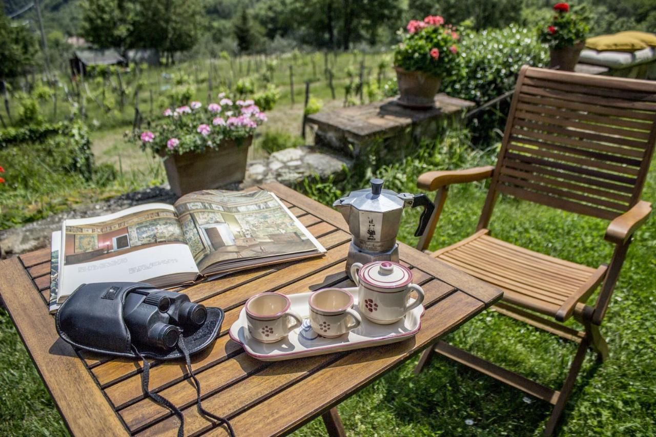 Villa Porcigliano Olive Grove Polcanto Exteriér fotografie
