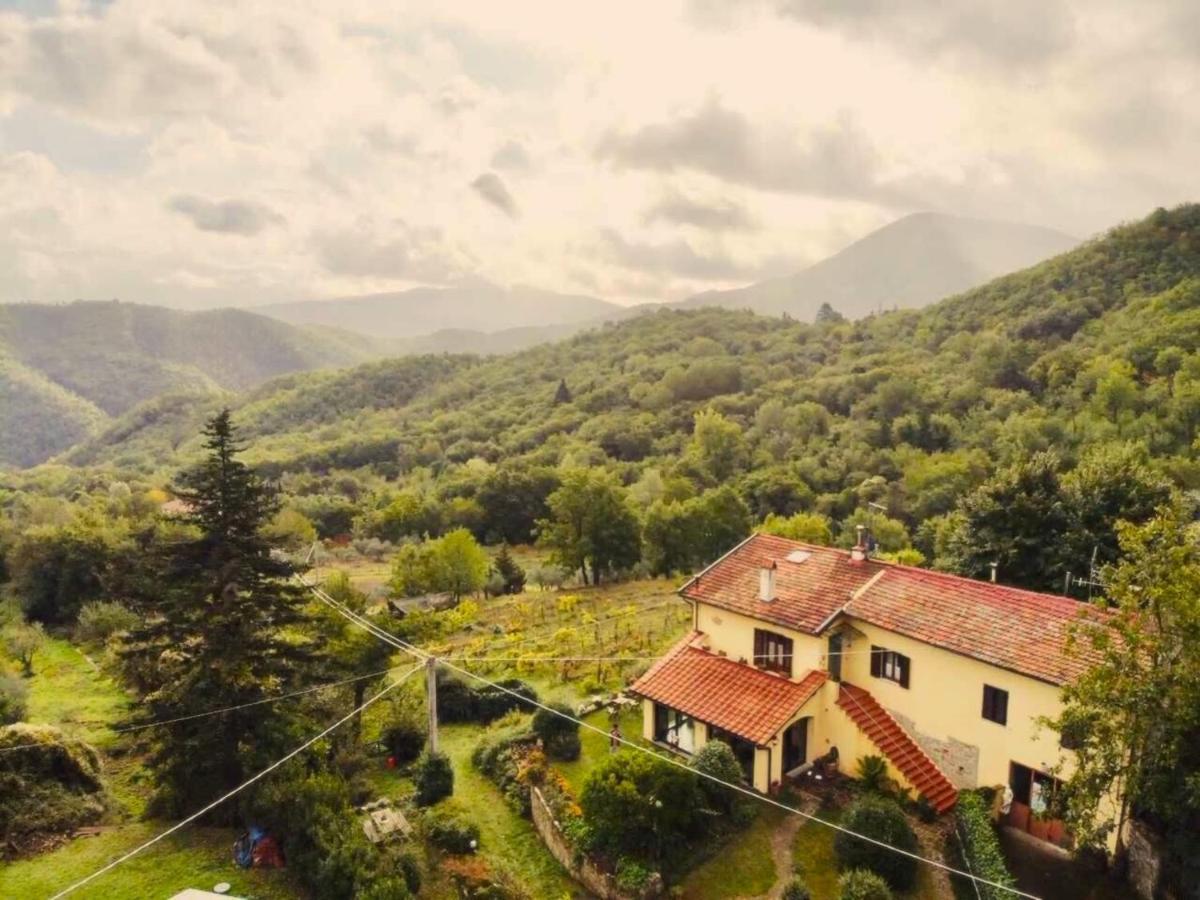 Villa Porcigliano Olive Grove Polcanto Exteriér fotografie