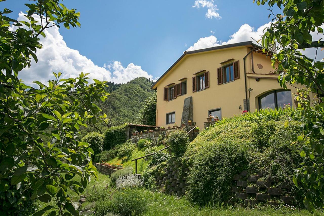 Villa Porcigliano Olive Grove Polcanto Exteriér fotografie