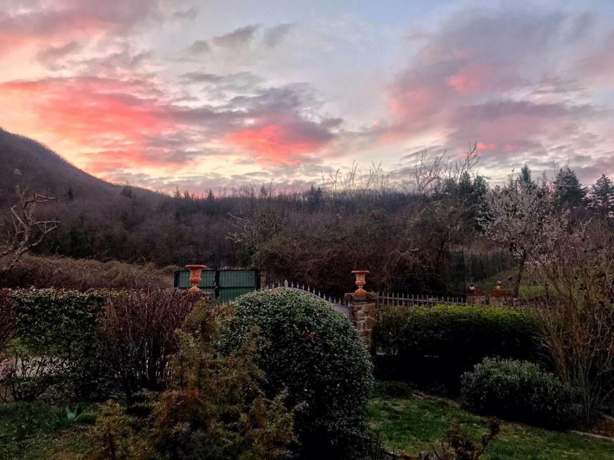 Villa Porcigliano Olive Grove Polcanto Exteriér fotografie